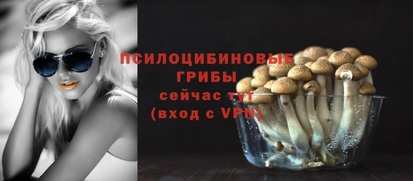 эйфоретик Пересвет
