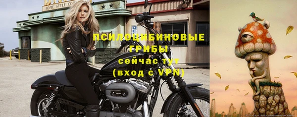MDMA Premium VHQ Пестово