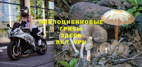 ГАЛЛЮЦИНОГЕННЫЕ ГРИБЫ Покачи