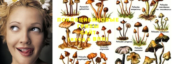 марки nbome Переславль-Залесский