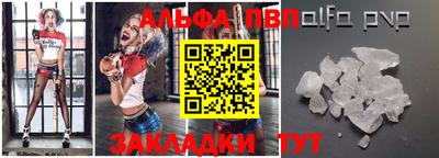 амф Гусев