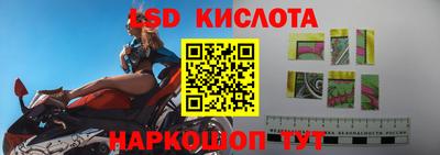 амф Гусев