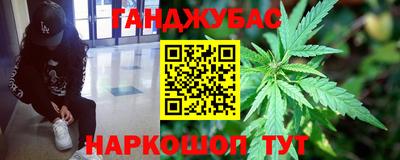 амф Гусев