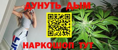 амф Гусев