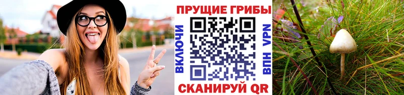 даркнет клад  Сегежа  Галлюциногенные грибы мухоморы  kraken как зайти 