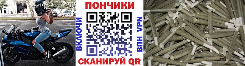 Конопля сатива  Сегежа 